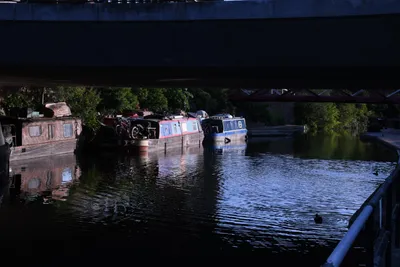 DSC_1730 (Large).JPG